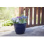 Beehive Pot Planter-91225321