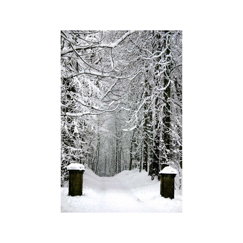 Winter Time - Print on Canvas, 66.04 cm H x 45.72 cm W x 3.175 cm D, Wrapped Canvas