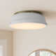 Calico 2 Light Steel Flush Mount