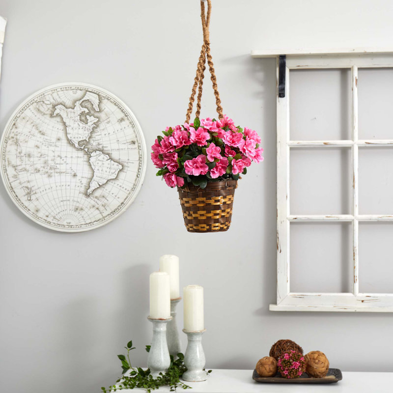 Panier suspendu azalea