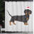 Shower Curtain with Hooks Included-44331091