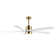 Athanafis Ceiling Fan with LED Lights