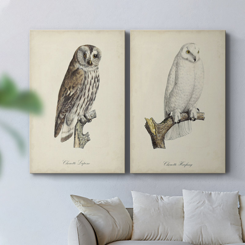 French Owls III - Toile tendue avec châssis de qualité supérieure - Prêt à être accroché