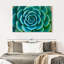 «Live Succulent», reproduction sur toile-92279627