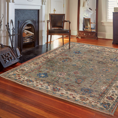 Sorin Performance Hand Knotted Wool Oriental Rug