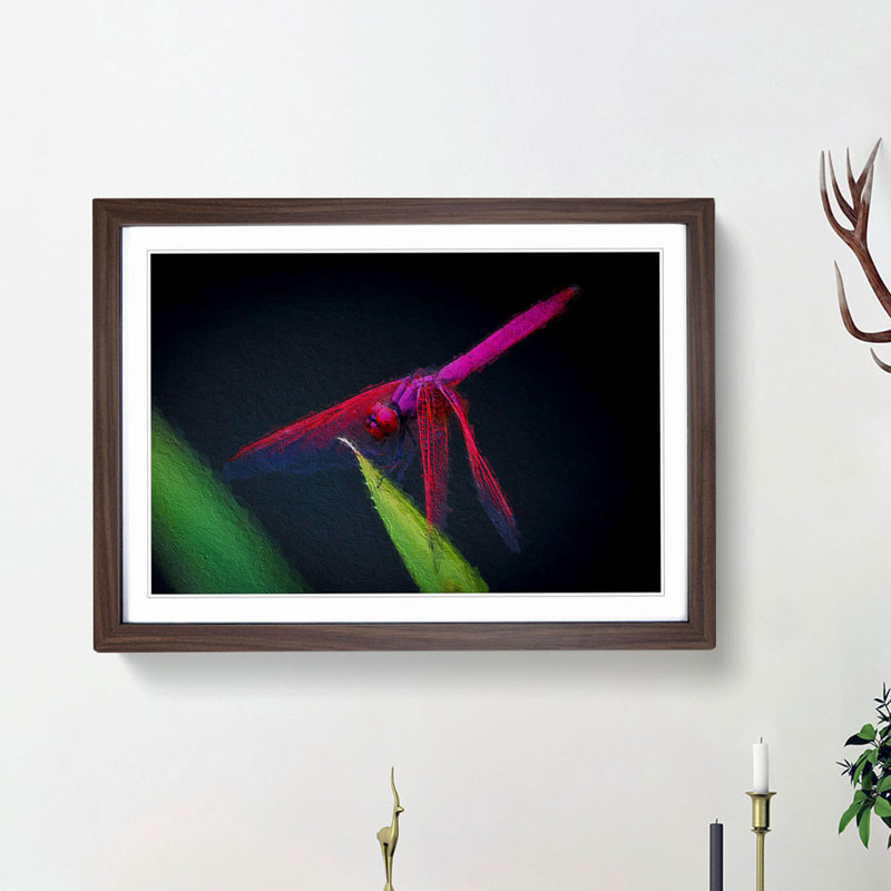 Dragonfly - Picture Frame Painting Print, Walnut Framed, 48cm H x 65cm W x 2cm D
