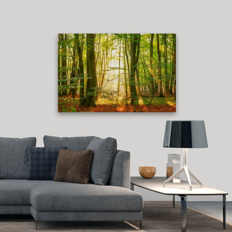 Power Beam - Paysages, photographie, arbres, art, H 32 po x l 48 po