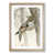Oak Framed selected