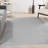 Nourison Essentials Silver/Gray Indoor/Outdoor Area Rug-1575212814