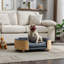 Lit pour chien surélevé de style scandinave avec pieds en bois massif et dossier en bois cintré, coussin en velours gris moyen-797052606