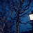 Jaada Outdoor 200 - Bulb 866'' Solar Powered LED Mini String Light-1805617356