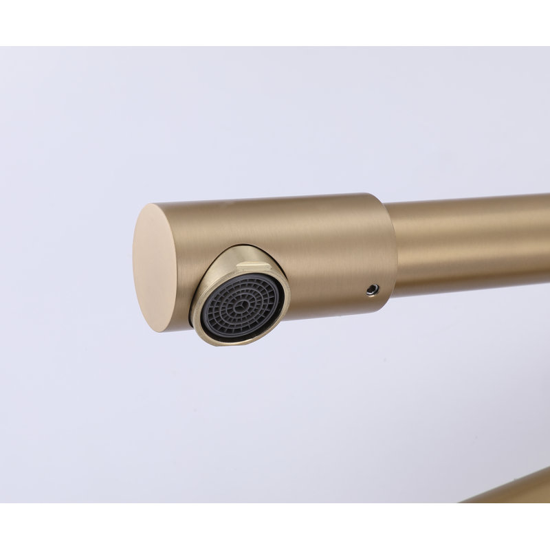 Wonderland America Kitchen Faucet with Side Spray, Brushed Gold