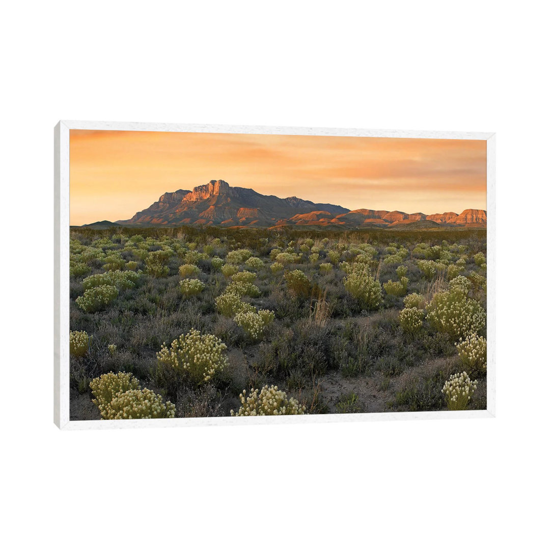 Pepperweed Meadow Beneath El Capitan, Guadalupe Mountains National Park, Texas von Tim Fitzharris - Gallery-Wrapped Canv...