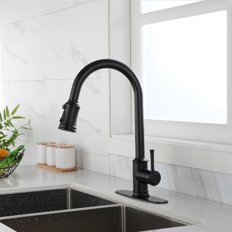 Robinet de cuisine rétractable à poignée simple avec accessoires, Noir mat