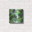 Art mural en métal Latitude Run® «Tropical Art 2» par Mark Ashkenazi-756270056