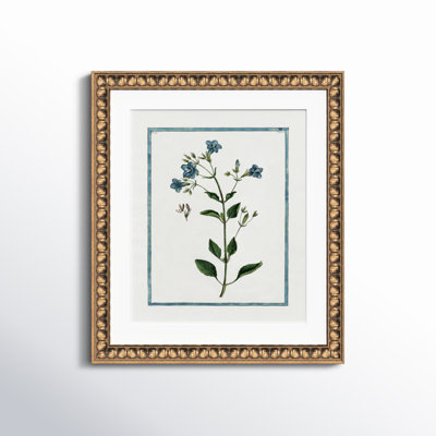 Shabby Elegance Botanical II by Kelly Donovan