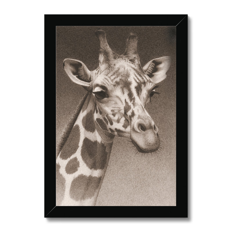 Jean The Giraffe (P) by Robert L. Caldwell, Jr. - Print, Black Framed Paper Print, 34cm H x 24cm W