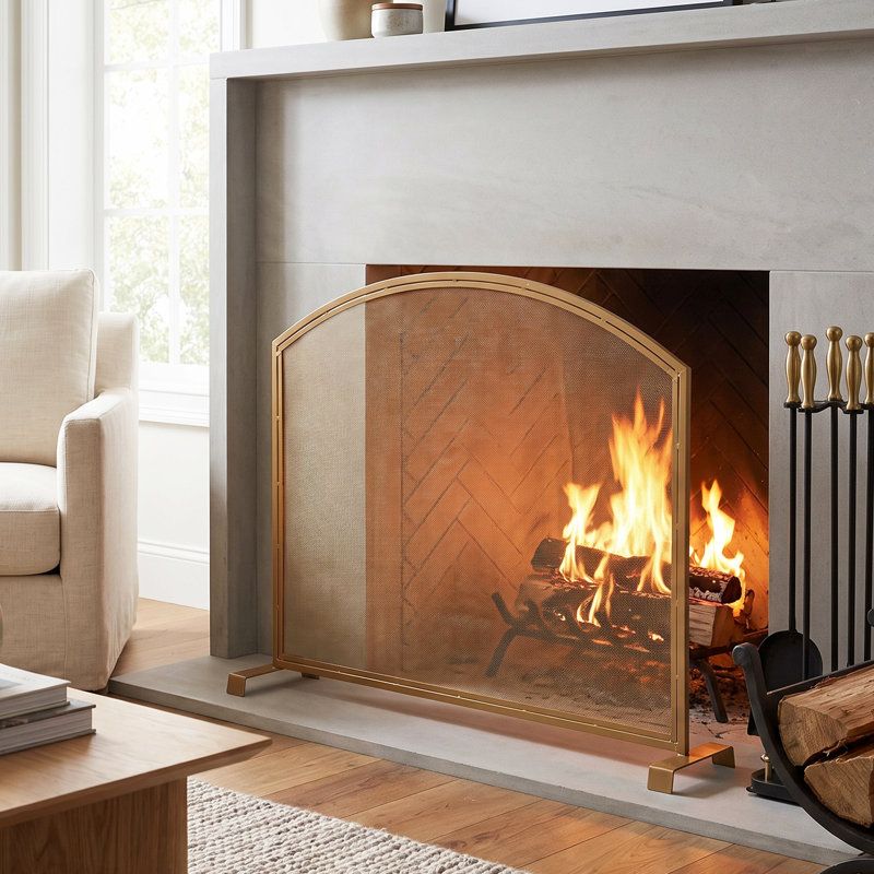 Single Door Iron Fireplace Door