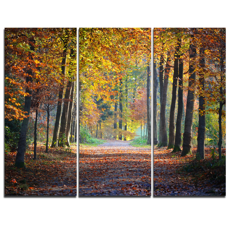 Reproduction de photo sur toile tendue large chemin dans une forêt jaune automne