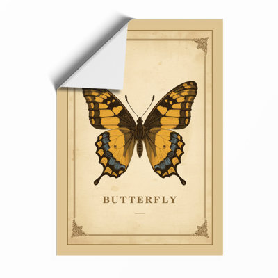 Butterfly Study Botanical - Print
