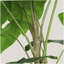 30 po Alocasia artificielle avec pot blanc (ensemble de 2), plante artificielle tropicale réaliste pour la décoration intérieure, le salon, la chambre à coucher et le bureau
