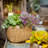 Whaleyville Pot Planter-827271329