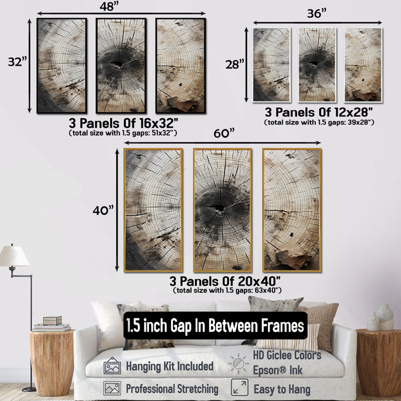 Tree Cut Stump Beauty - Ensemble de décoration murale arbre séquoia, H 28 po x l 36 po x P 1 po, Cadre naturel flottant