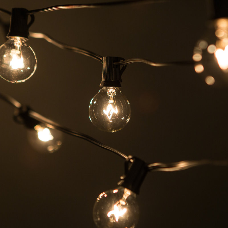 Henleaze Outdoor 25 - Bulb 25'' Plug-in Globe String Light, Black
