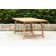 Anautica 6 - Person Metal Patio Dining Set with Rectangular Table