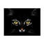 Portrait de chat noir sur toile-119837232
