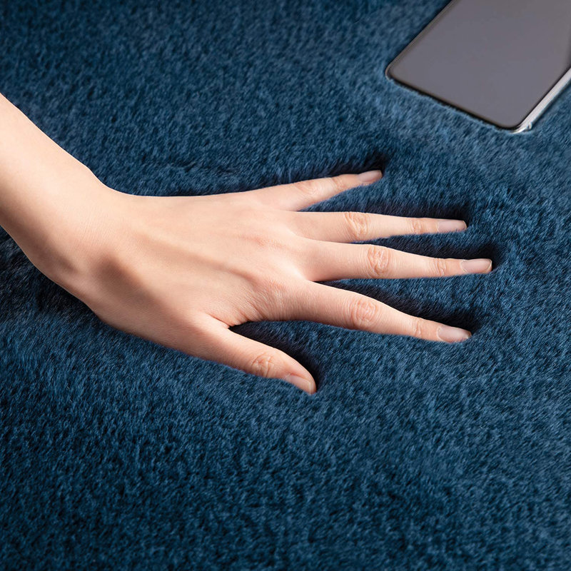 Hazeghi Faux Fur Washable Indoor Rug, Novelty 2' x 3'