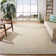 Damian Flat Weave Cotton Solid Color Rug