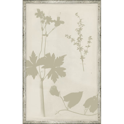 Ghost Herbaria In Celedon Giclee Print