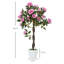 90cm Faux Rose Tree Plant in Pot-903063428