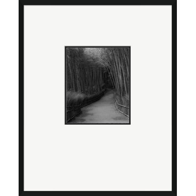 Chemin zen - photographie