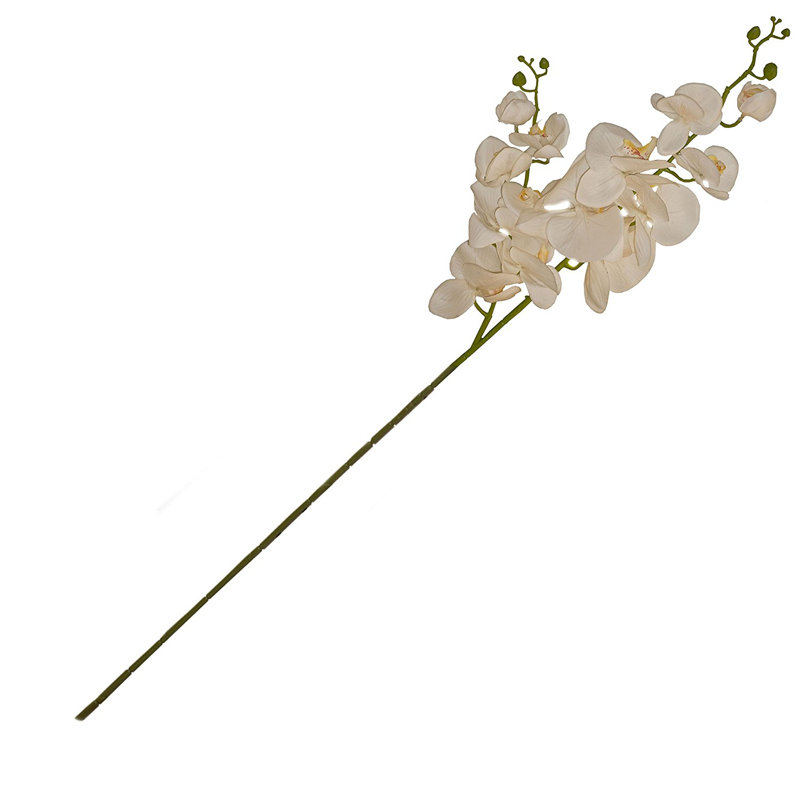 Fleur orchidéee artificielle 2 branches, Crème