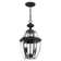 Alexavier 2 - Light Outdoor Hanging Lantern