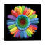 Rainbowflower par Magda Indigo - estampe numérique sur toile tendue avec châssis-18776077-74288901-74288896