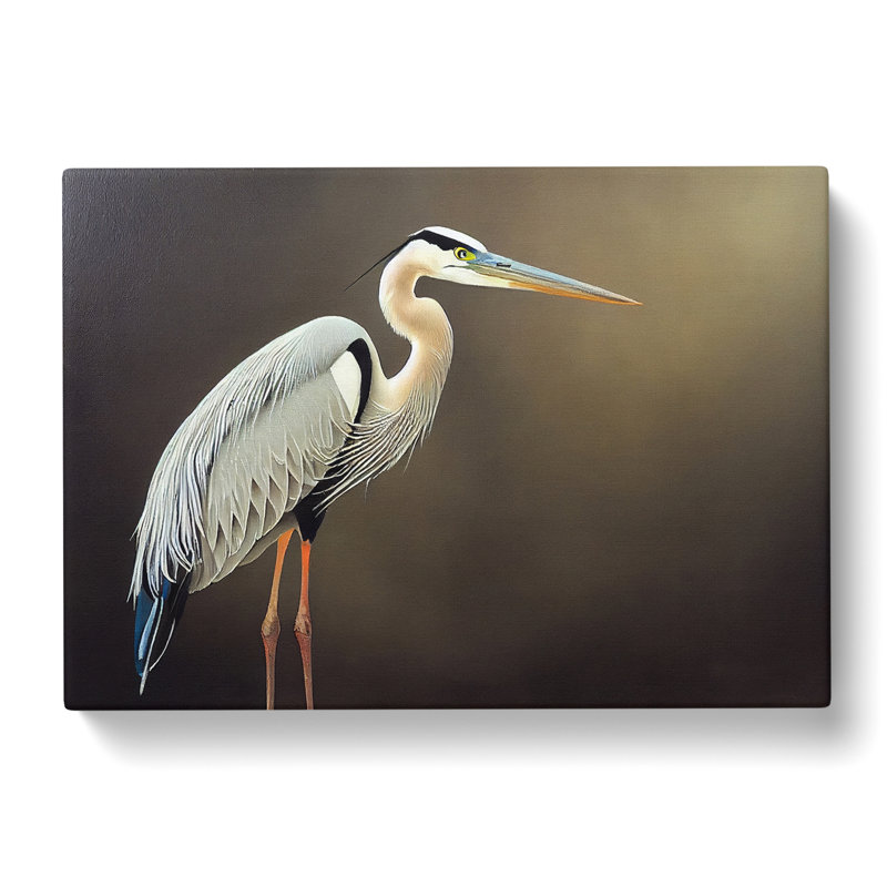 An Astounding Heron Bird - Wrapped Canvas, 35cm H x 50cm W x 3cm D