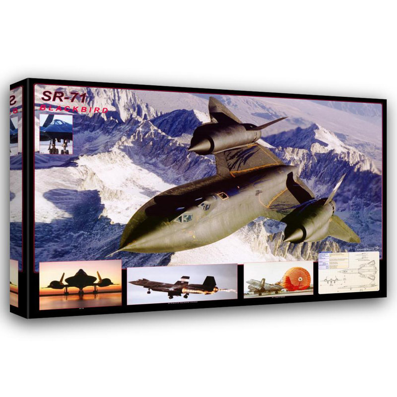 Avion Blackbird Sr-71, H 16 po x l 24 po