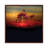 Flamingo Beach by David Loblaw - Print on Canvas-1694601805-1694601806