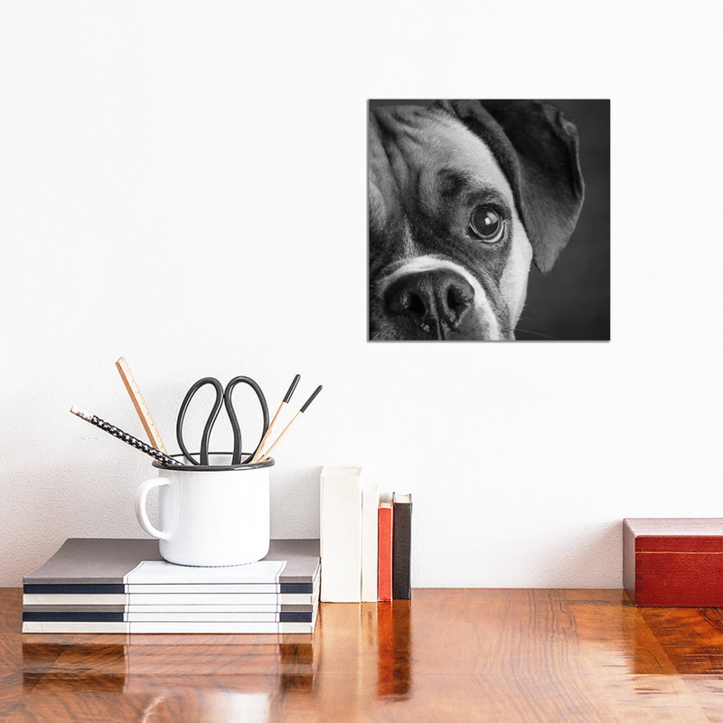 Portrait Of A Boxer Dog - Wrapped Canvas Print, 30.48 cm H x 30.48 cm W