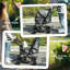 Swanley Foldable Pet Stroller-1704524527