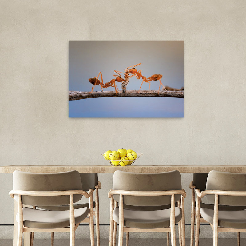 Weaver Ant Teamwork Contemporary Ant Nature Wildlife Wall Art Print 1 Piece Wrapped Canvas Wall Art, 60.96cm H x 91.44cm W