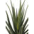 31.5" Artificial Agave Plant