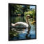 Cygne refuge dans un lac tropical - décoration murale animaux cygnes-97170863-97170856