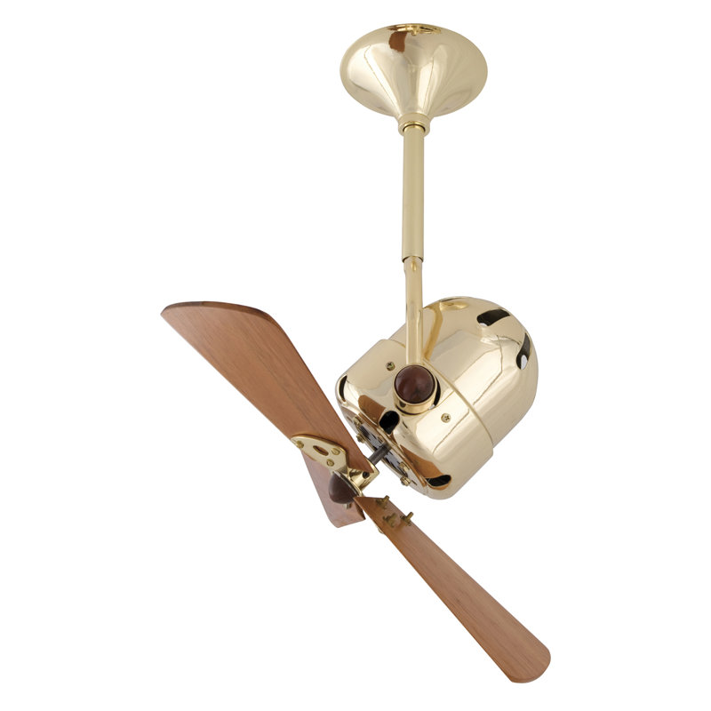 16" Bianca Direcional 3 Blade Ceiling Fan, Polished Brass, 5" Downrod, Mahogany