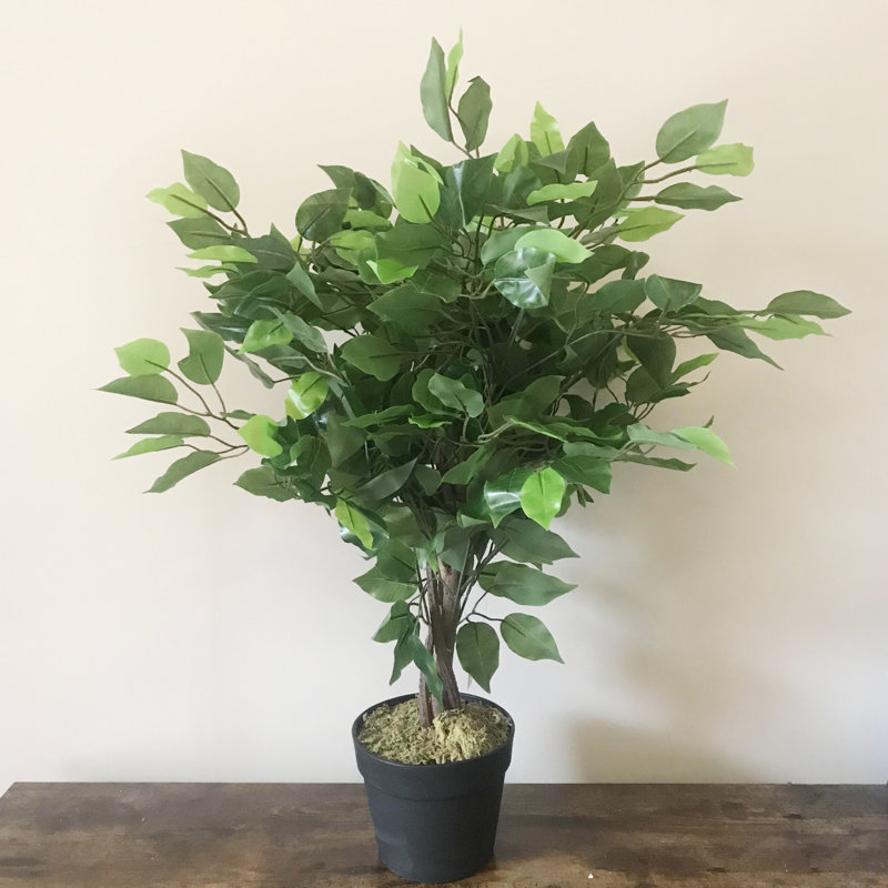 Anlin 60cm Faux Ficus Tree in Pot