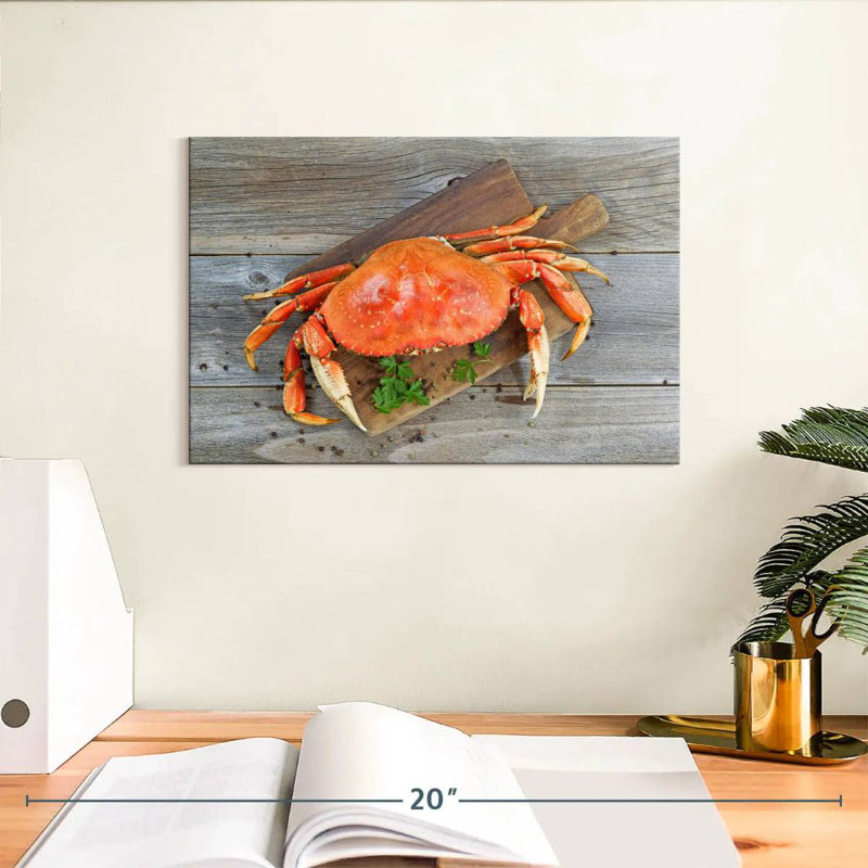 Crabe dormeur cuit Yarlin, H 8 po x l 12 po