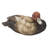 MALLARD WITH RED HEAD